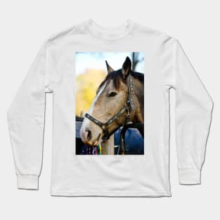 Beautiful Horse Long Sleeve T-Shirt